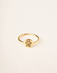 Custom Paw Print Ring